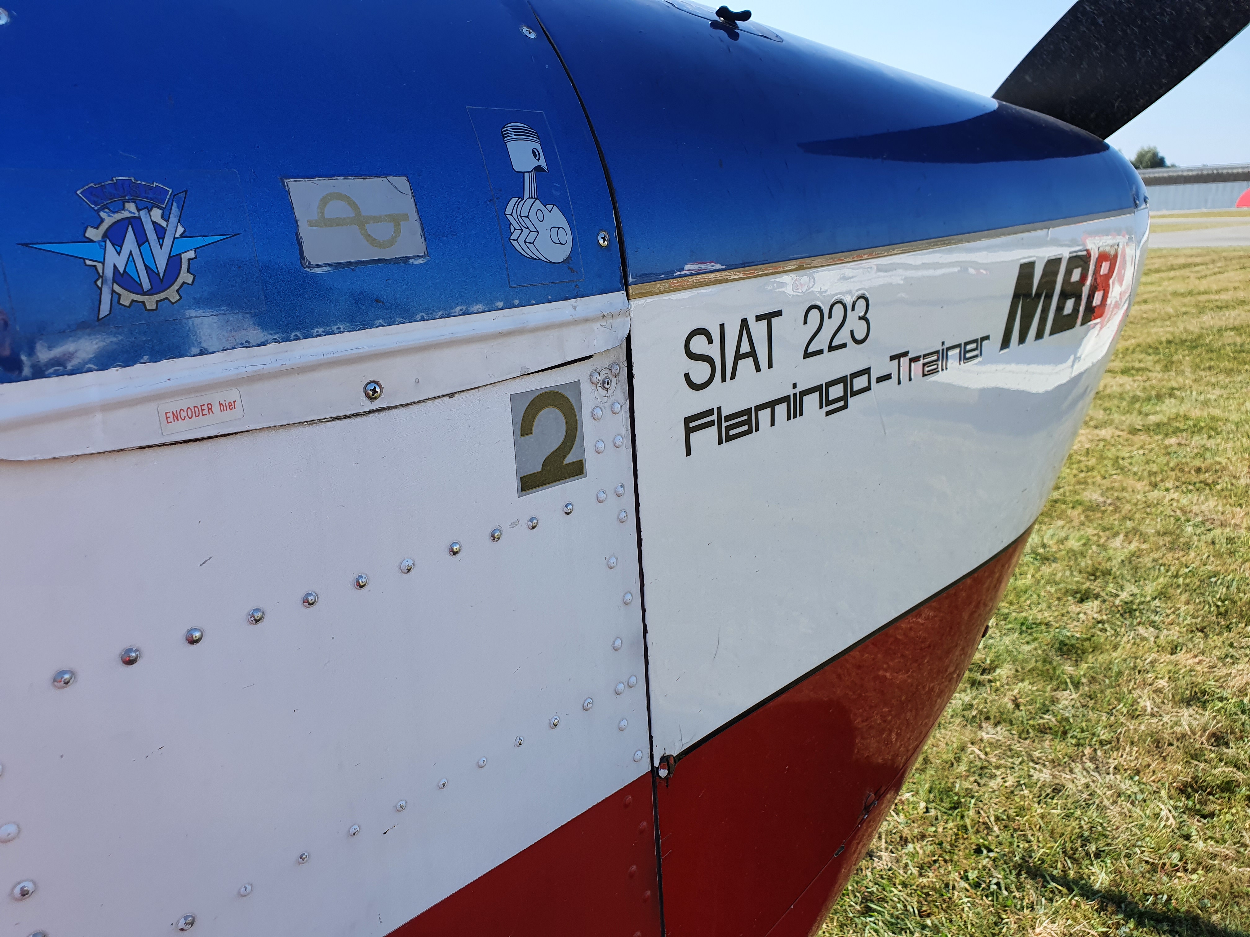 D-EMXI – Siat Flamingo (Friend)